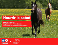 Nutrition équine : La nutrition du cheval pour des sabots en santé